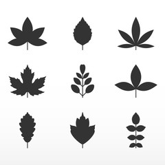 Black leaf set. Growth symbol icon.