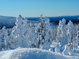 Finnland Schnee