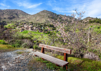 Fototapeta premium Beautiful spring landscape, a village in the mountains of Cyprus, blue sky, green hills and blossoming almond