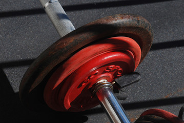 Gros plan halt&eacute;re