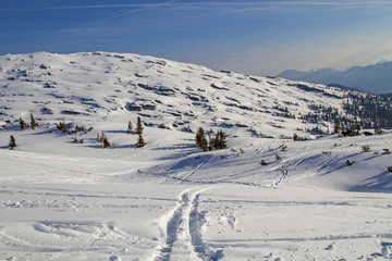 Fototapeta na wymiar Ifen - Allgäu - Walsertal - Ski - Piste - Gottesackerplateau - Alpen