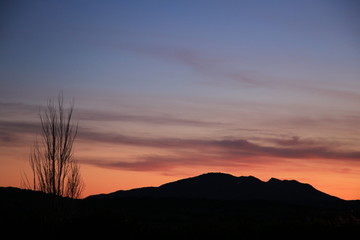 Atardecer rosa