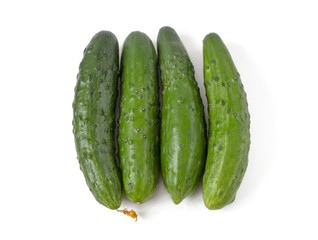 Four fresh cucumber