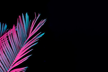 Tropical and palm leaves in vibrant bold gradient holographic neon  colors. Concept art. Minimal surrealism background. - obrazy, fototapety, plakaty