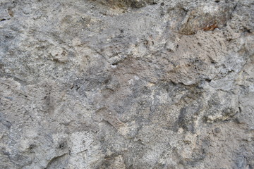 Gray Stone Wall Texture