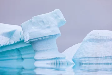 Deurstickers IJsvorming op Antarctica. Net voorbij de Gerlache Straits is waar deze Ice Garden bestaat © Lorraine Kourafas
