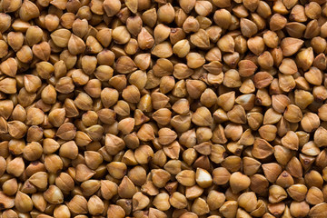 Buckwheat groats closeup