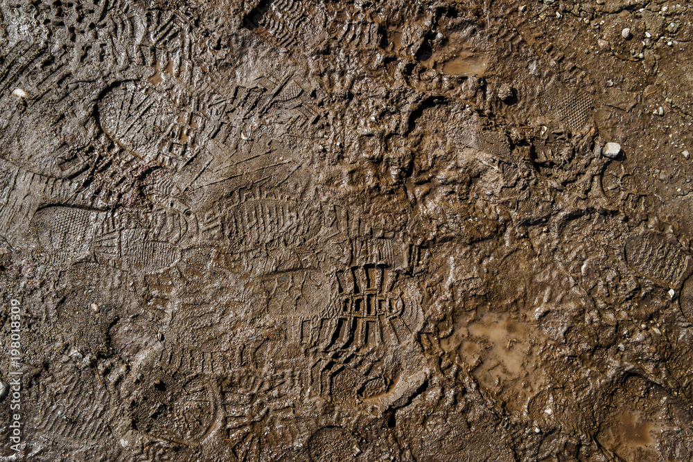 Wall mural wet ground with footprints. mud ground with human footprints. soil background