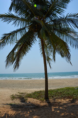 Spiaggia Varca in Goa 5