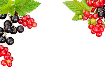 Composition of ripe berries and green leaves isolated on white, fresh black and red currant. Berries at border of image with copy space for text in center, top view, summer season card