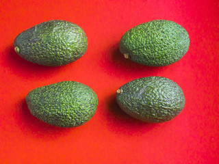 Avocados on red background