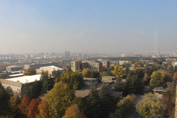 Obraz premium Campus 27