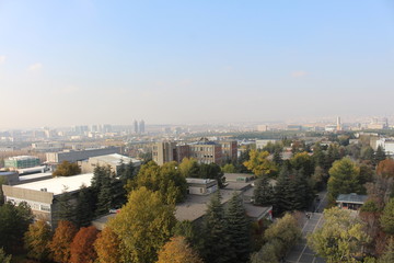 Obraz premium Campus 62
