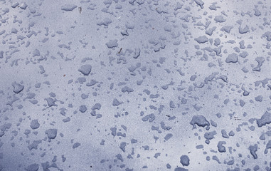 Landscape is summer. Green trees and grass in a countryside land