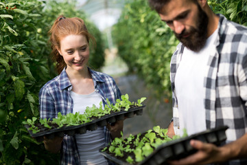 Young couple of farmers working in greenhouse