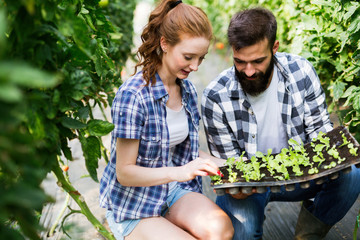 Two attractive young women working in greenhouse and planting seeds.