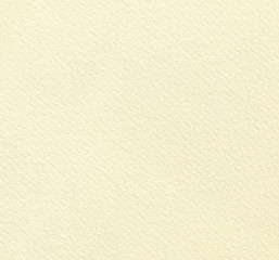 True Watercolor Paper. Highly detailed very large texture.	