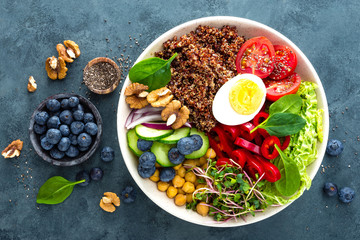 Buddha bowl dinner with boiled egg, chickpea, fresh tomato, sweet pepper, cucumber, savoy cabbage, red onion, green sprouts, spinach leaves, blueberry, walnuts, chia and quinoa