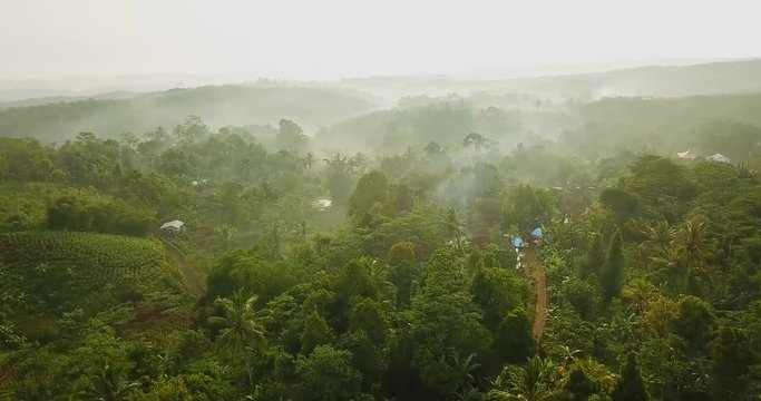 Drone view of beautiful landscape on misty morning at palm oil plantation in Sukabumi, West Java, Indonesia. Shot in 4k resolution