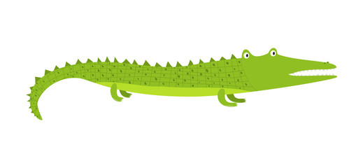 Cute bright cartoon green long crocodile with short legs. Childish flat illustration of alligator for kids book design, stickers, educational and fun games, print