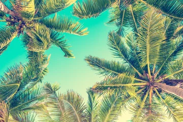 Wall murals Window decoration trends Looking up at blue sky and palm trees, view from below, vintage style, tropical beach and summer background, travel concept