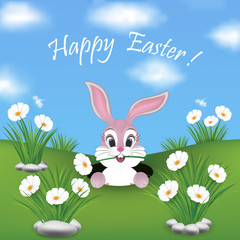 Happy Easter card with a cute pink bunny hiding in a field with sweet white flowers. Spring background.