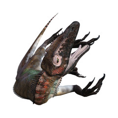 3D Rendering Dinosaur Utahraptor on White