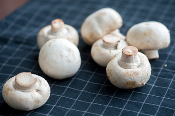 Fresh mushrooms on kitchen towel, food closeup