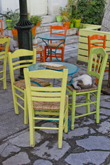 Fototapeta na wymiar Street cafe, street yard cat sleeping on a chair in cafe, Greece