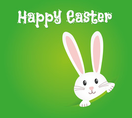 Obraz premium Easter rabbit, easter Bunny