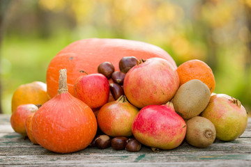 autumn fruits