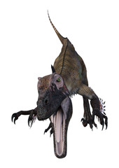Fototapeta premium 3D Rendering Dinosaur Utahraptor on White