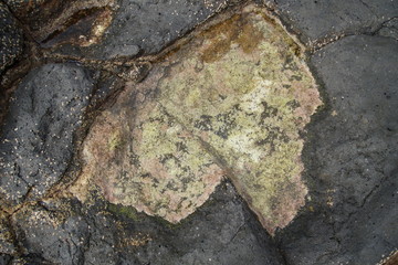 tidal puddle in volcanic rocks on the ocean shore