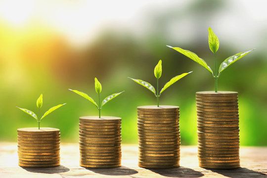 money stack step with plant growing on coins. concept finance and accounting