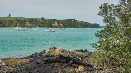 View of Islington bay from the Coastal track on Rangitoto island New Zealand