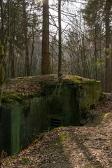 Bunker im Hürtgenwald