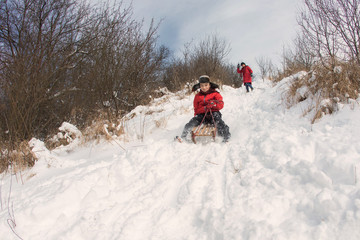 Children slide down hills on sleds
