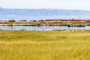 Fototapeta premium Landscape view in Laguna Nimez during golden hour, with flamingos in the back. Exotic colors, beautiful lake and mountain range in the background.