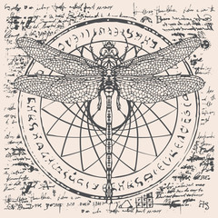 Illustration of a dragonfly on an abstract background of old papyrus or a manuscript with spots, circle, star, magical inscriptions and symbols. Vector banner in retro style