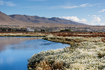 Landscape view in Laguna Nimez during golden hour. Exotic colors, beautiful lake and mountain range in the background.