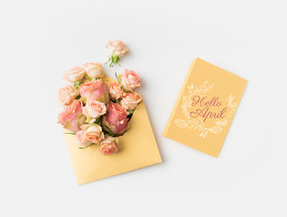 beautiful pink roses in envelope and HELLO APRIL card isolated on white