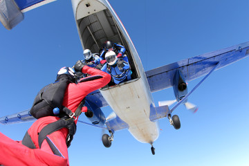 Formation skydiving. Skydivers have just jumped out of a plane.