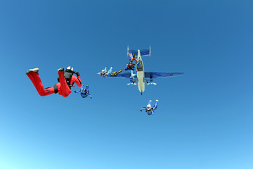 Formation skydiving. Skydivers have just jumped out of a plane.