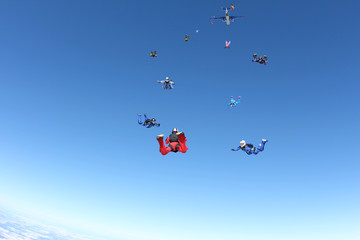 Naklejka na ściany i meble Formation skydiving. Skydivers have just jumped out of a plane.