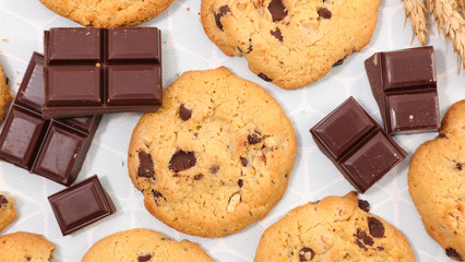 delicious chocolate cookie