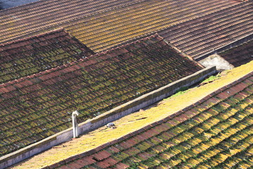 Around Vila Nova de Gaia, Portugal