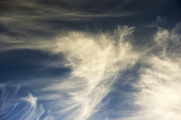 Blue sky with white cloud