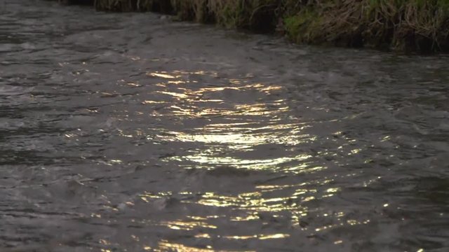 Erft mit Sonnenreflexion