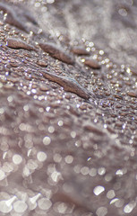 Waterdroop on the bench - Water Drops on the bench - close up