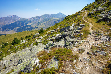 Narrow shepherd trail in the mountains 